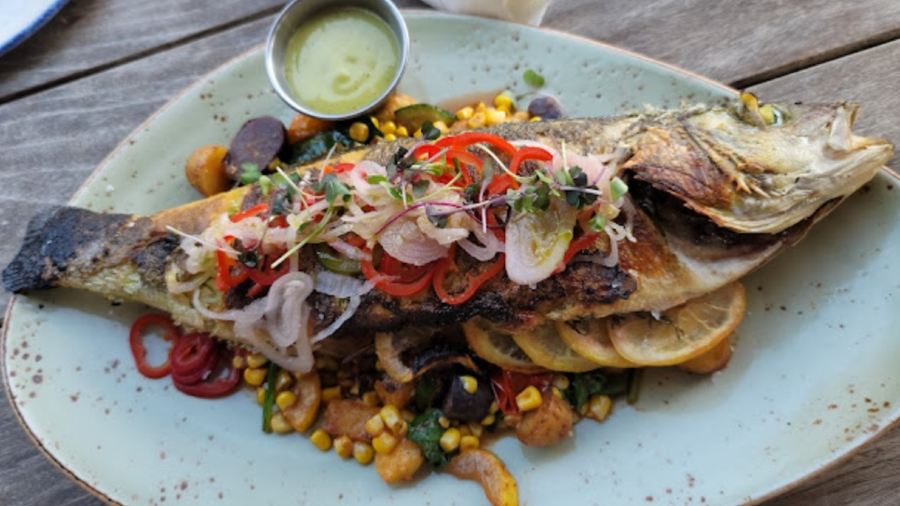 Rappahannock Oyster Bar