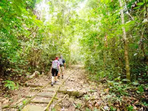 Gunung Gading National Park