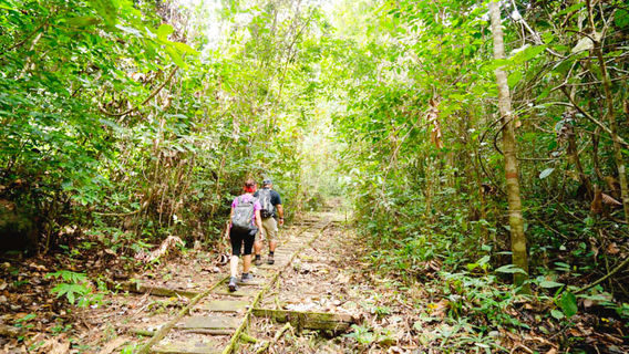 Gunung Gading National Park