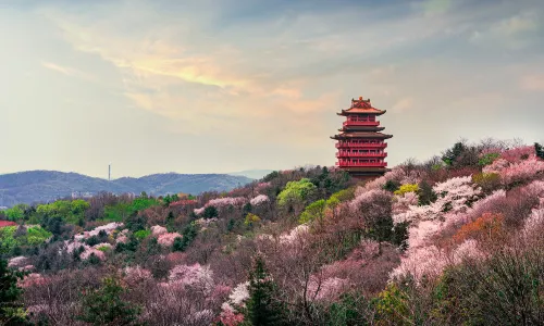 錦江山公園