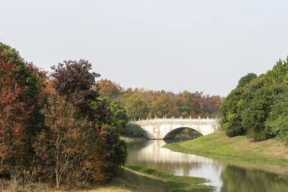 4_Shanghai Haiwan National Forest Park