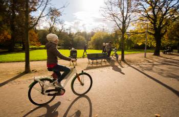 Popular Activities in Amsterdam