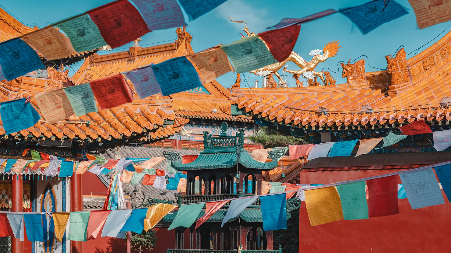 Hotels near Dazhao Temple