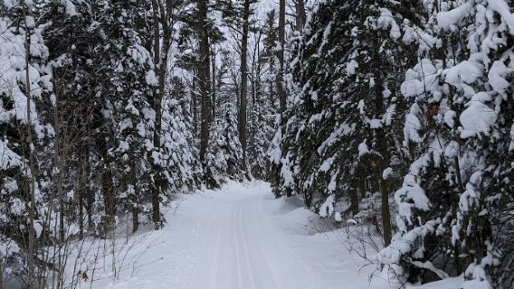Razorback Ridges Trail