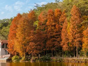 Fairy Lake Botanical Garden