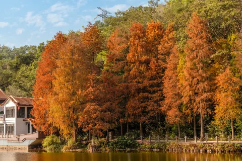 Fairy Lake Botanical Garden