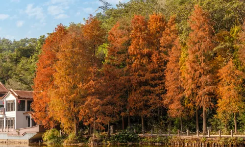 Fairy Lake Botanical Garden