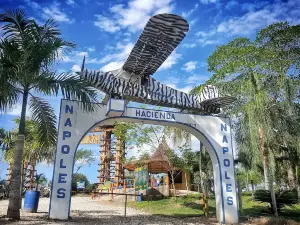 Hacienda Napoles