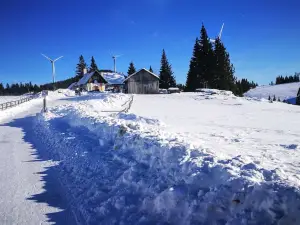 Kluglifte Hebalm