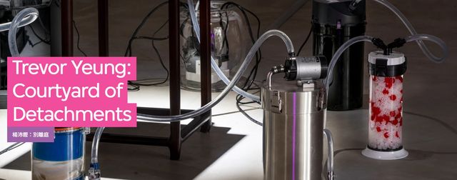 Trevor Yeung:Courtyard of DetachmentsTrevor Yeung:Courtyard of Detachments | M+