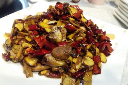 Shan jun wang  (baohai)