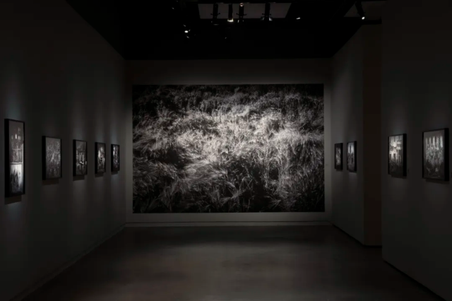 法國攝影藝術家盧力捷《混沌與和諧》攝影展 | 成都當代影像館