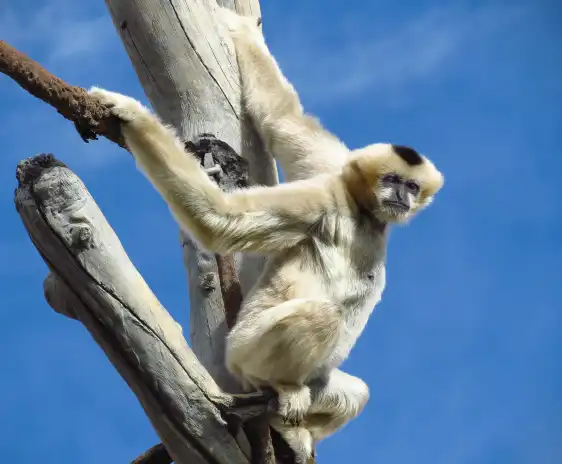 Hotels near Denver Zoo