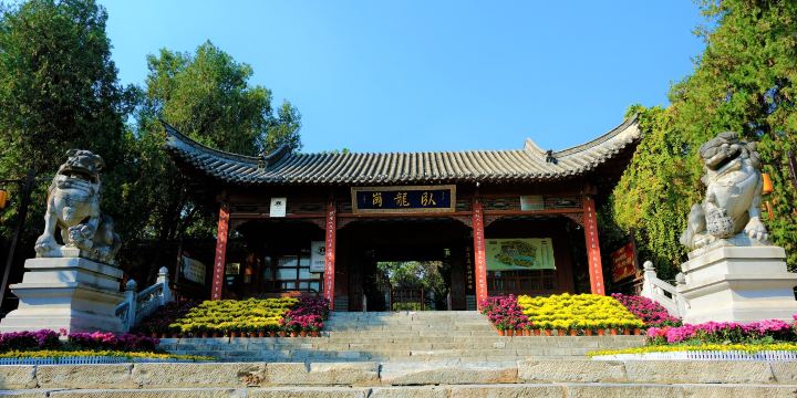 Wolong Hill