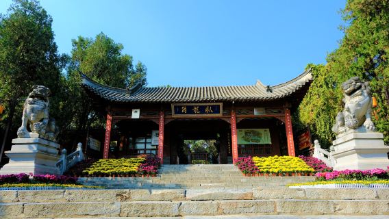 Wolong Hill