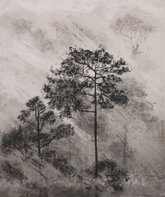 Between Light and Shadow | Fen Ditton Gallery