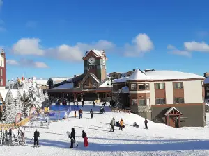 大白山滑雪度假村