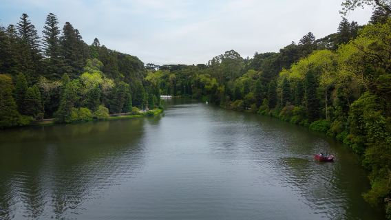 Lago Negro
