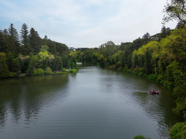 Lago Negro