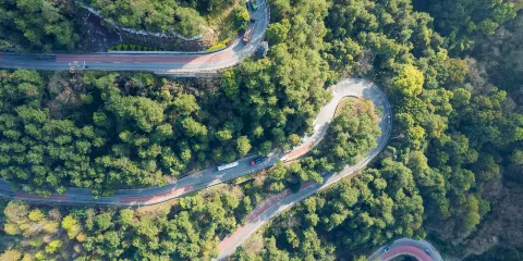 歌樂山國家森林公園
