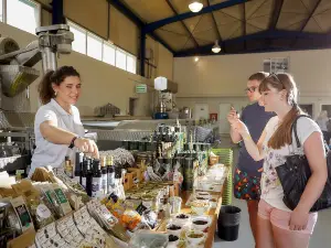 Vassilakis Estate - Olive Tour Crete