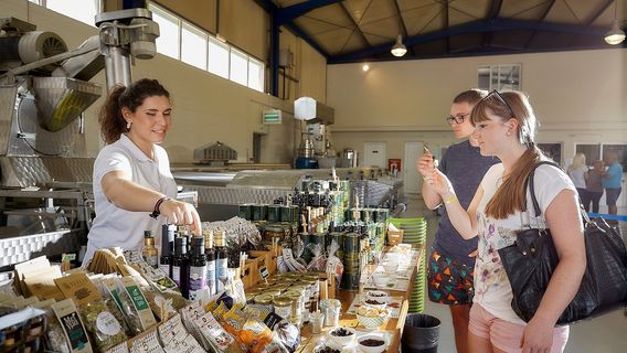 Vassilakis Estate - Olive Tour Crete