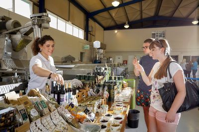 Vassilakis Estate - Olive Tour Crete