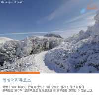 [초보도 가능한  한라산 등산코스]