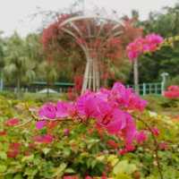 鳥語花香之地：佐敦谷公園