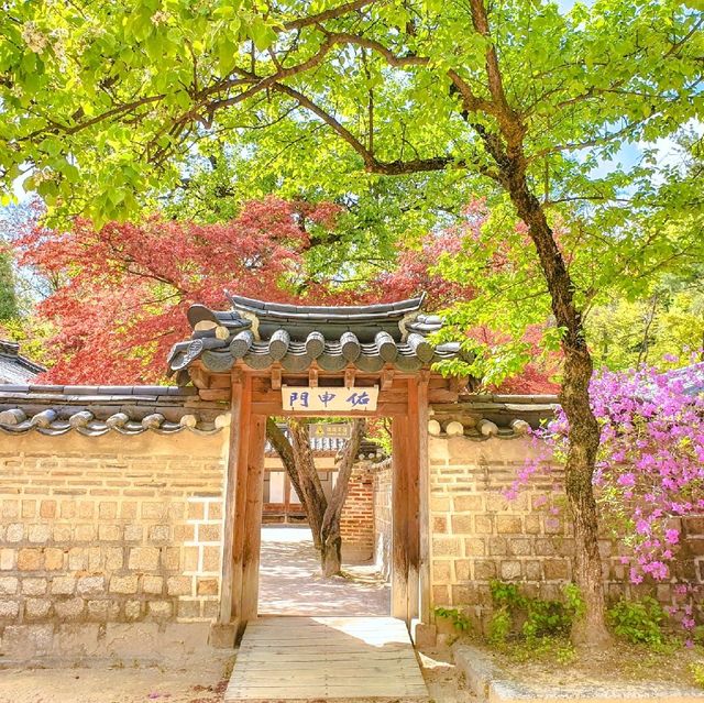 창덕궁 후원 관람