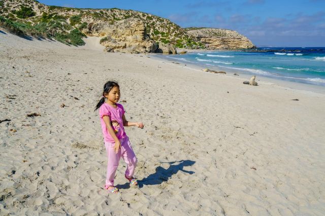Seal Bay