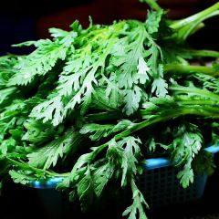 豪哥野生菌牦牛肉土鸡汤锅火锅(康定老城店) User Photo