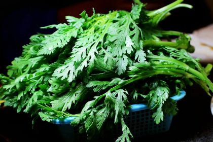 豪哥野生菌牦牛肉土鸡汤锅火锅(康定老城店)