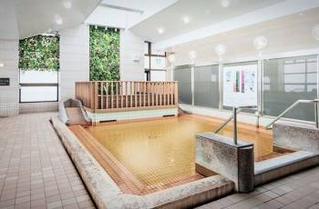 Popular Hot Springs Attractions in Tokyo