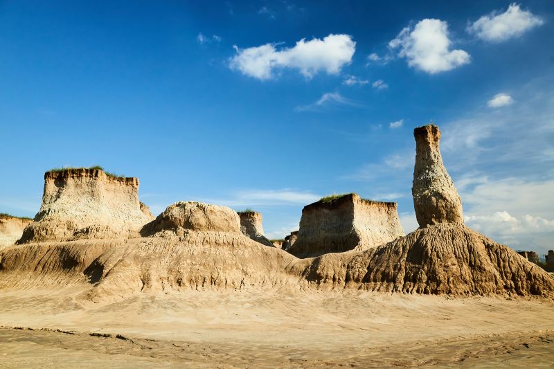 Datong Soil Forest