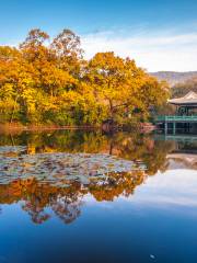 Zhongshan Mountain National Park