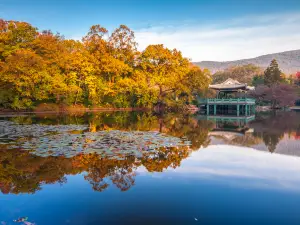 鐘山国家公園