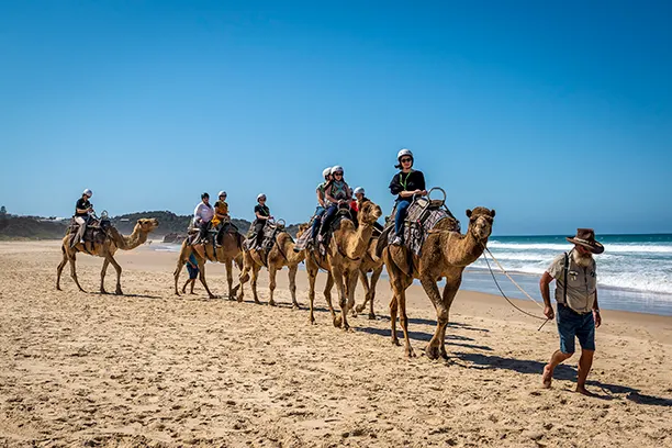 Trending Destinations in 2025