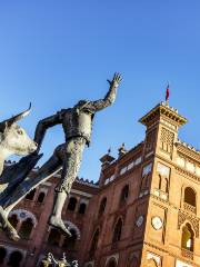 Bullfighting Museum (Museo Taurino)