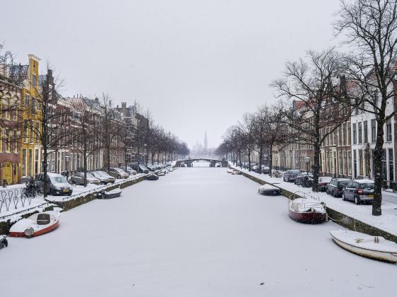 Canals of Amsterdam