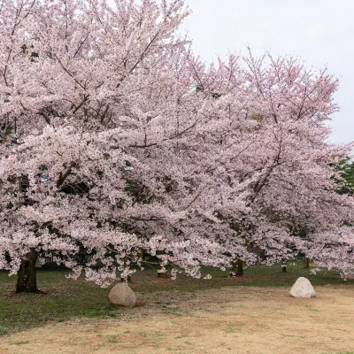 Отели рядом с достопримечательностью «Макухарский морской парк»