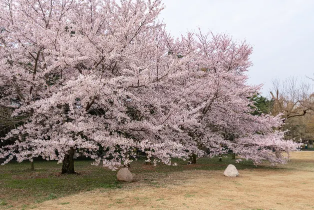 Hotels in Funabashi mit WLAN