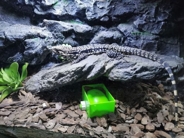 Hainan Tropical Wildlife Park