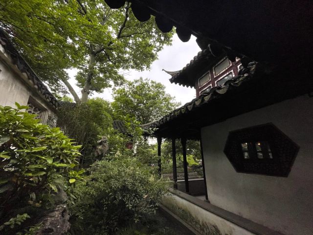 Lingering Garden