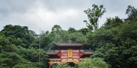 真武山城市森林公園