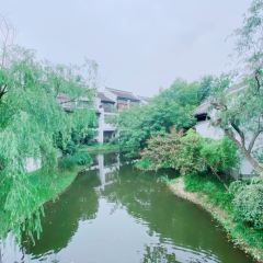 WATERLIGHT COURT User Photo
