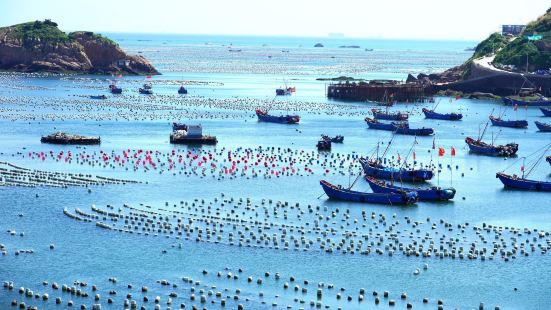 海上牧场～枸杞岛早就想去海岛度假，终于等到风平浪静的好天气出