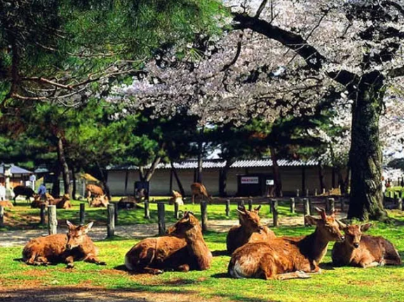 Tangyun Ecotourism Area