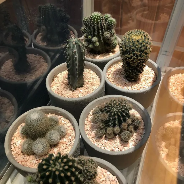 บอกบุญ 5 คาเฟ่น่าไปในกาญจน์นะจ๊ะ <3