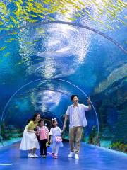 Undersea World Pavilion